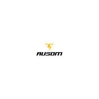 Ausomstore