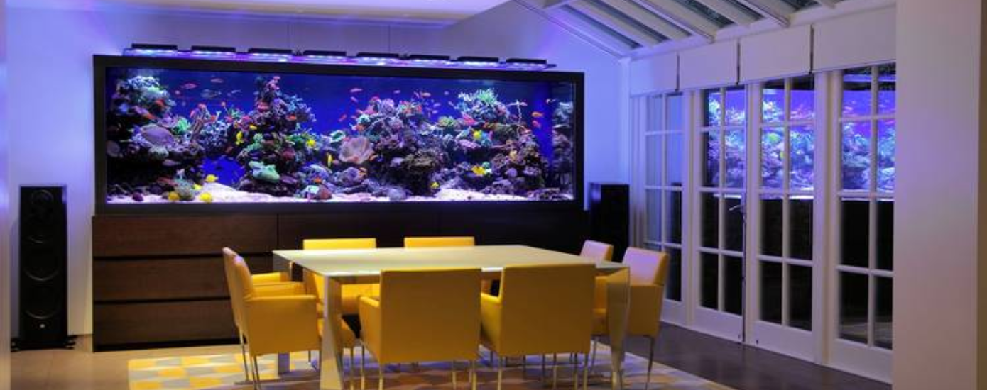 Unique Corals