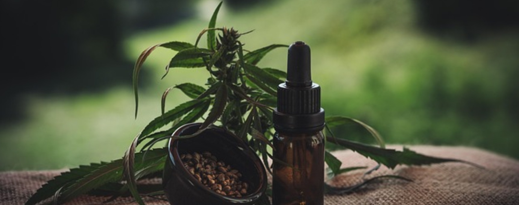 Foria Wellness: Elevate Your Intimacy with CBD & Botanical Wellness